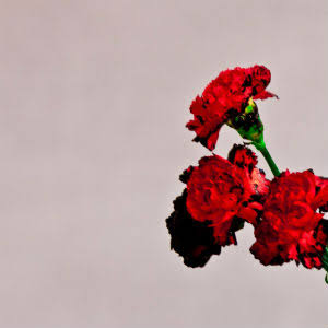 all of me john legend