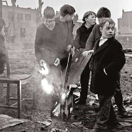 canter gerry cinnamon canter gerry cinnamon