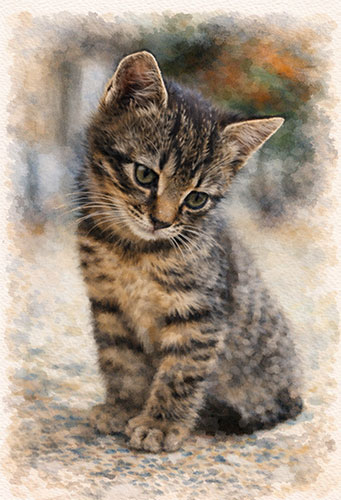 cat-4-ch-web cat-4-ch-web