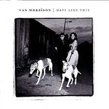 Album cover of Days Like This featuring best of Van Morrison songs and the song Days Like This Album cover of Days Like This featuring best of Van Morrison songs and the song Days Like This