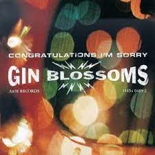 follow you down gin blossoms follow you down gin blossoms