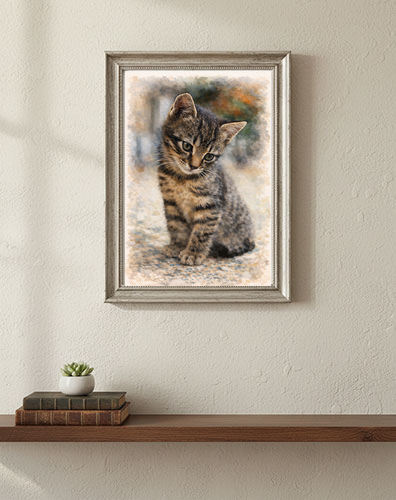 mockup-1-cat mockup-1-cat