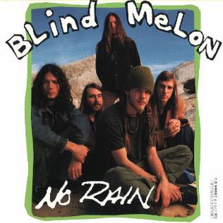 Learn to play 'No Rain' by Blind Melon – Chords & Lesson. Album cover for 'Blind Melon' album featuring the song 'No Rain' by Blind Melon – Learn to play on guitar.