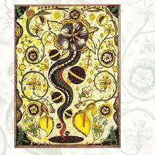 Album cover of I Feel Alright featuring Steve Earle best songs and the song Now She's Gone Album cover of I Feel Alright featuring Steve Earle best songs and the song Now She's Gone