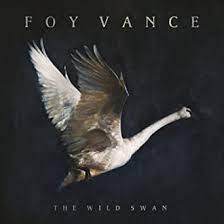 Album cover of foy vance the wild swan featuring easy folk songs for guitar and the song she burns Album cover of foy vance the wild swan featuring easy folk songs for guitar and the song she burns