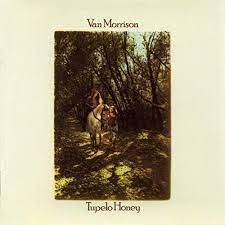 Album cover of Tupelo Honey featuring best of Van Morrison songs and the song Tupelo Honey Album cover of Tupelo Honey featuring best of Van Morrison songs and the song Tupelo Honey