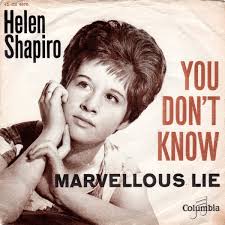 you dont know helen shaprio